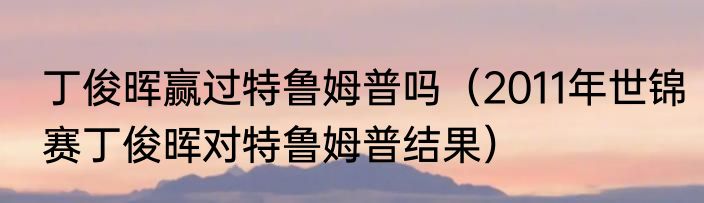丁俊晖赢过特鲁姆普吗（2011年世锦赛丁俊晖对特鲁姆普结果）