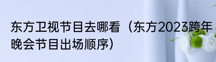 东方卫视节目去哪看（东方2023跨年晚会节目出场顺序）