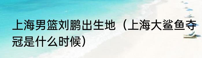 上海男篮刘鹏出生地（上海大鲨鱼夺冠是什么时候）