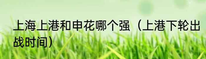 上海上港和申花哪个强（上港下轮出战时间）