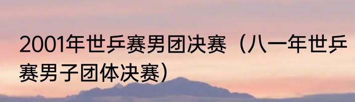 2001年世乒赛男团决赛（八一年世乒赛男子团体决赛）