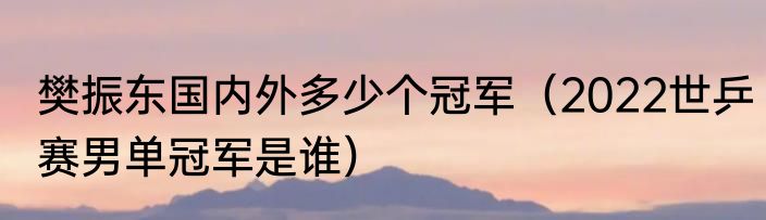 樊振东国内外多少个冠军（2022世乒赛男单冠军是谁）