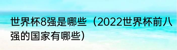 世界杯8强是哪些（2022世界杯前八强的国家有哪些）