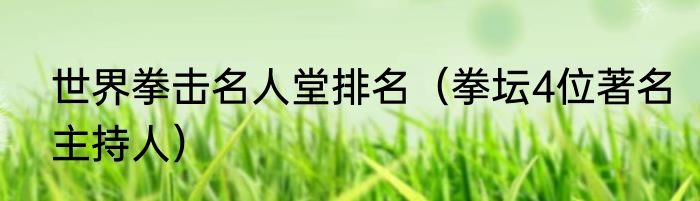 世界拳击名人堂排名（拳坛4位著名主持人）