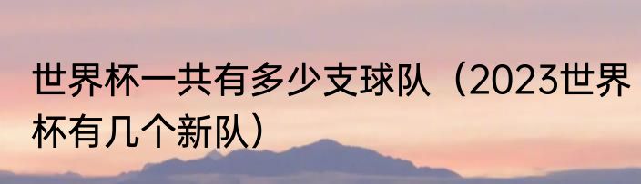 世界杯一共有多少支球队（2023世界杯有几个新队）