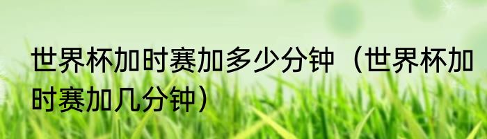 世界杯加时赛加多少分钟（世界杯加时赛加几分钟）