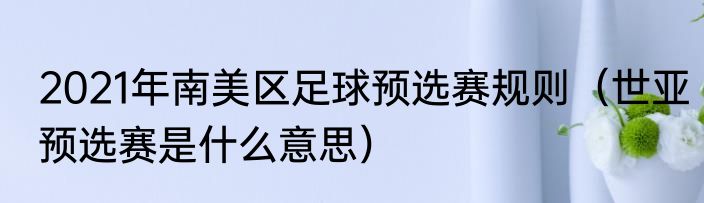 2021年南美区足球预选赛规则（世亚预选赛是什么意思）