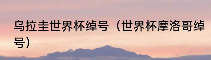 乌拉圭世界杯绰号（世界杯摩洛哥绰号）