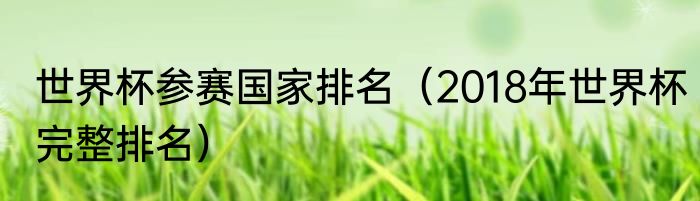 世界杯参赛国家排名（2018年世界杯完整排名）