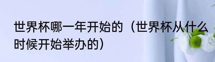 世界杯哪一年开始的（世界杯从什么时候开始举办的）