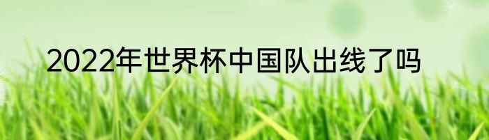 2022年世界杯中国队出线了吗