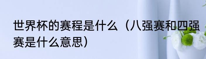 世界杯的赛程是什么（八强赛和四强赛是什么意思）