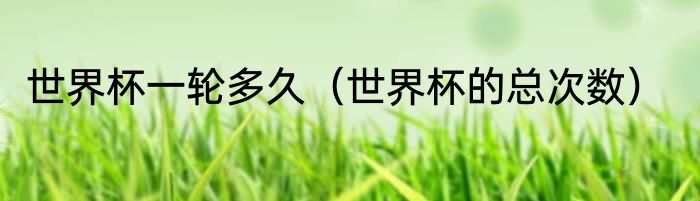 世界杯一轮多久（世界杯的总次数）