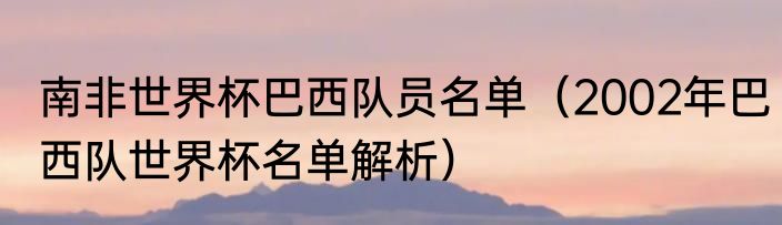 南非世界杯巴西队员名单（2002年巴西队世界杯名单解析）