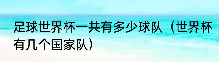 足球世界杯一共有多少球队（世界杯有几个国家队）