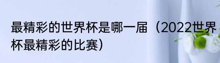 最精彩的世界杯是哪一届（2022世界杯最精彩的比赛）