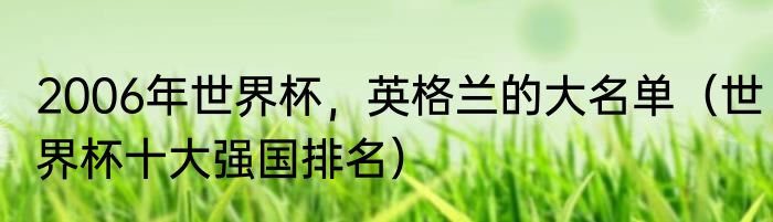 2006年世界杯，英格兰的大名单（世界杯十大强国排名）