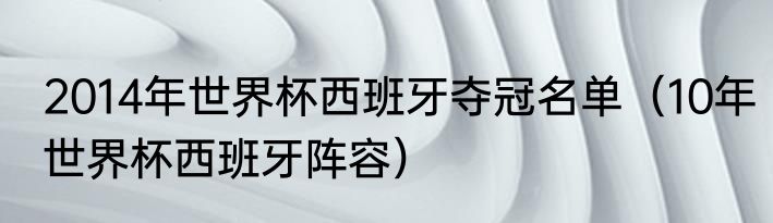 2014年世界杯西班牙夺冠名单（10年世界杯西班牙阵容）