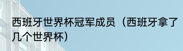 西班牙世界杯冠军成员（西班牙拿了几个世界杯）