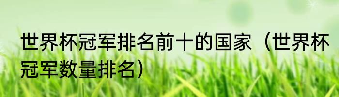 世界杯冠军排名前十的国家（世界杯冠军数量排名）