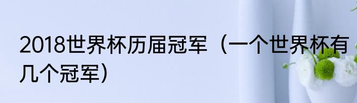 2018世界杯历届冠军（一个世界杯有几个冠军）