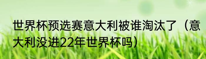 世界杯预选赛意大利被谁淘汰了（意大利没进22年世界杯吗）