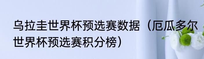 乌拉圭世界杯预选赛数据（厄瓜多尔世界杯预选赛积分榜）