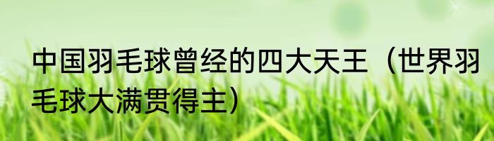 中国羽毛球曾经的四大天王（世界羽毛球大满贯得主）