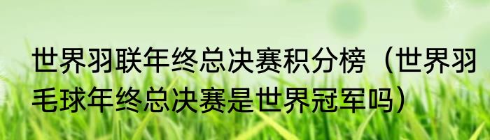 世界羽联年终总决赛积分榜（世界羽毛球年终总决赛是世界冠军吗）