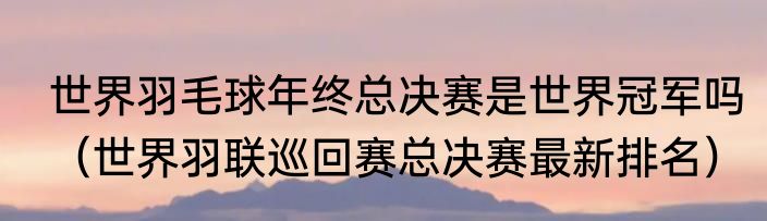 世界羽毛球年终总决赛是世界冠军吗（世界羽联巡回赛总决赛最新排名）