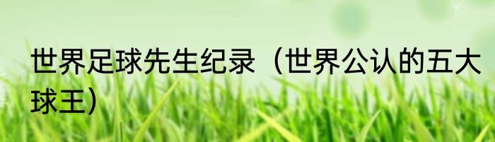 世界足球先生纪录（世界公认的五大球王）