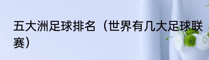 五大洲足球排名（世界有几大足球联赛）