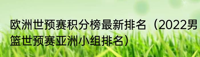 欧洲世预赛积分榜最新排名（2022男篮世预赛亚洲小组排名）