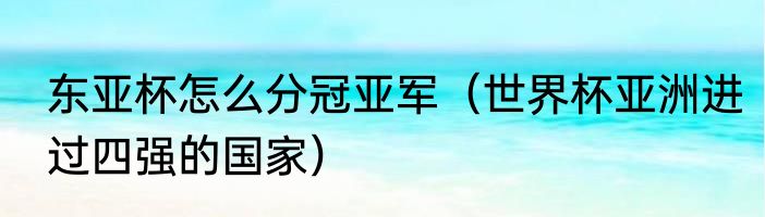 东亚杯怎么分冠亚军（世界杯亚洲进过四强的国家）
