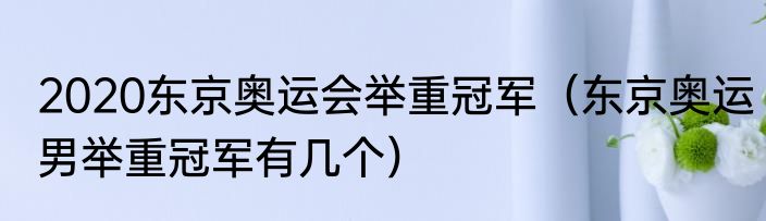 2020东京奥运会举重冠军（东京奥运男举重冠军有几个）