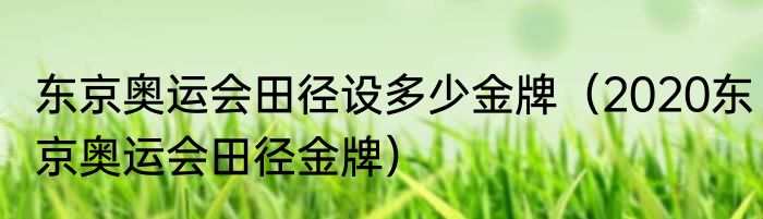 东京奥运会田径设多少金牌（2020东京奥运会田径金牌）