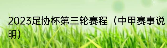 2023足协杯第三轮赛程（中甲赛事说明）