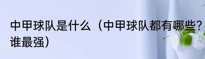 中甲球队是什么（中甲球队都有哪些?谁最强）