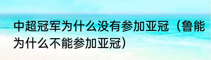 中超冠军为什么没有参加亚冠（鲁能为什么不能参加亚冠）