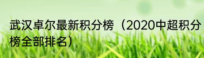 武汉卓尔最新积分榜（2020中超积分榜全部排名）