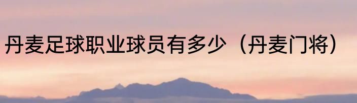 丹麦足球职业球员有多少（丹麦门将）