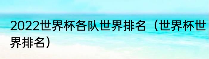 2022世界杯各队世界排名（世界杯世界排名）