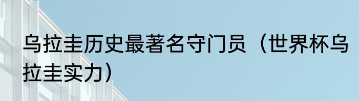 乌拉圭历史最著名守门员（世界杯乌拉圭实力）