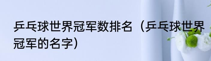 乒乓球世界冠军数排名（乒乓球世界冠军的名字）