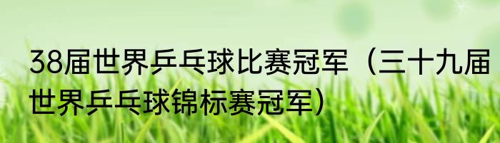 38届世界乒乓球比赛冠军（三十九届世界乒乓球锦标赛冠军）