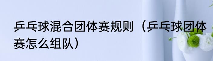 乒乓球混合团体赛规则（乒乓球团体赛怎么组队）