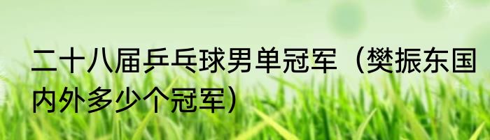 二十八届乒乓球男单冠军（樊振东国内外多少个冠军）