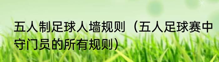 五人制足球人墙规则（五人足球赛中守门员的所有规则）