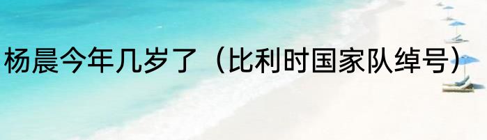 杨晨今年几岁了（比利时国家队绰号）