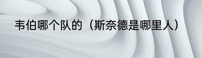 韦伯哪个队的（斯奈德是哪里人）